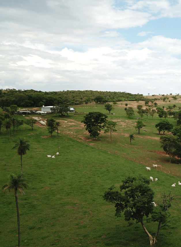 Estrutura da Fazenda Padroeira